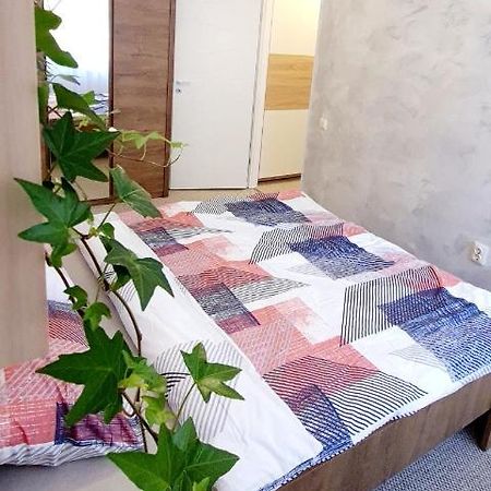 Larisa Apartment Cluj-Napoca Eksteriør bilde