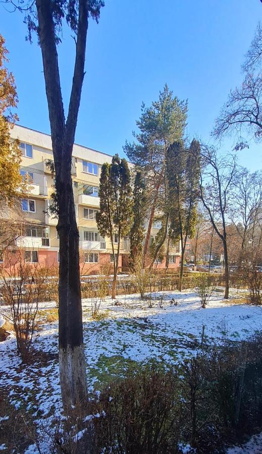 Larisa Apartment Cluj-Napoca Eksteriør bilde